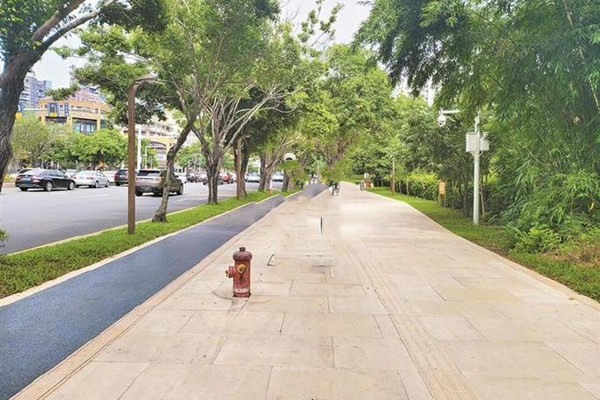 有无“救命水”一点便知 深圳将逐步实现5万余个市政消火栓智能化改造 